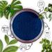 Cosm'Ethics - Poudre de Nila Bleue 50g Poudre Naturelle du Maroc pour Soin Visage & Cheveux Format D couverte clat Teint & Brillance Capillaire - Buy Online on GoSupps.com