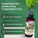 Ivy Corporation Dry Itch Relief Spray - Fast-Acting Relief from Poison Ivy Itching - 6 Fl Oz + Bonus Key Chain - Buy Online on GoSupps.com