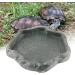 Reptiles Water Tray Resin Anti-Slip Climb Pet Tortoise Lizard Rock Drinking Food Feeder Dish(S-Green) S Green - Buy Online on GoSupps.com