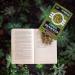 Seapoint Farms Dry Roasted Edamame Wasabi Pouches 3.5 oz 3 pk - Buy Online on GoSupps.com