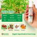 InviNutri Superfood Powder for Sensory & Picky Eaters. A TINY scoop- 40x Nutrient-Rich, 30mg Sulforaphane for Detox. Organic Microgreens, Fruits & Veggies - Blends Invisibly into Most Meals - 24 serv. 0.42 Ounce (Pack of 1) - Buy Online on GoSupps.com