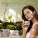 Xaninp Herbal Soothing Relief Cream Herbal Body Care Cream Rich in Calendula Dendrobium Relieves Dry and Tight Skin Itchy Skin 1 FL oz - Buy Online on GoSupps.com