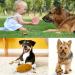19-Piece Dog Toy Set - Durable Cornitoo Rope Balls & Chew Toys for Small Medium & Large Dogs - Interactive & Tooth Training - Buy Online on GoSupps.com