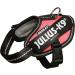 Julius-K9 IDC Powair Dog Harness - Size 2XS (Baby 2) - Pink | Shop Internationally for Quality Dog Gear - Buy Online on GoSupps.com