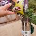 Peckish 60051274 Nyjer Bird Seed for Wild Birds 850 g Green 850 g (Pack of 1) Nyger Bird Seed for Wild Birds - Buy Online on GoSupps.com