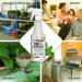 Mighty Mint 16oz Spider Repellent Peppermint Oil Spray - Natural Killer and Deterrent for Spiders and Insects - Buy Online on GoSupps.com