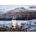 Lifesystems Mountain SPF50+ Sunscreen 50ml - High Protection for Outdoor Adventures | International Shipping Available - Buy Online on GoSupps.com