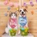Easter Dog Bandanas 2 Pack - Pink Honey Bunny & Light Blue Happy Easter Plaid Bandanas for Dogs - Buy Online on GoSupps.com