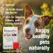HomeoPet Hot Spots 15ml: Soothing Relief for Pets' Skin Irritations - Buy Online on GoSupps.com