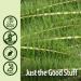 Nature's Answer Horsetail Extract 1 oz â€“ Alcohol-Free, Super Concentrated for Healthy Hair, Skin & Nails - Buy Online on GoSupps.com