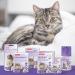 Beaphar Calming No Stress Cat Pack - 30ml Diffuser & Recharge for Cat Anxiety Relief | International Shipping - Buy Online on GoSupps.com