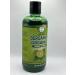 High Supreme Organic Bergamot Shampoo with Aloe Vera & Rosemary - 16.9 fl oz (500 ml) | Natural Hair Care for All Hair Types - Buy Online on GoSupps.com