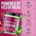 BRICKHOUSE NUTRITION Field of Greens Super Greens Powder | Doctor-Formulated Superfood Powder, Fruits & Veggies Supplement - Wildberry (Single Pack) - Buy Online on GoSupps.com