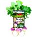 1,700 Purple Top White Turnip Seeds for Planting, Non-GMO Heirloom Vegetable Variety Seed Packet Instructions to Plant a Home Vegetable Garden 4G Great for Summer, Fall & Winter Gardens B&KM Farms Clear Package 4 Grams