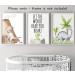 Dinosaur Set of 3 Unframed Poster Prints with Quote for Baby Nursery Decor - Roar A4 - Buy Online on GoSupps.com