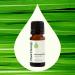 Plant Therapy Lemongrass Essential Oil 100% Pure Undiluted Natural Aromatherapy for Diffuser and Skin Therapeutic Grade 10 mL (1/3 oz) - Buy Online on GoSupps.com