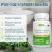 Advanced Digestive Enzymes with Betaine HCl & Plant Based Bromelain - 90 Vegan Capsules by Igennus - Buy Online on GoSupps.com