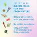 Moxe Nasal Inhaler Bundle - 8 Essential Oil Blends for Sinus Relief & Mood Enhancement - Made in USA - Buy Online on GoSupps.com