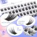 LZM C Curl Individual Eyelashes | 8-14mm Natural Look Reusable Fake Lashes | DIY Cluster Eyelashes Online - Buy Online on GoSupps.com