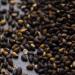 Emma Basic - Roasted Black Sesame Seeds 1kg | High in Fiber | Protein Source | Vegan | Rich Aroma | Antioxidants - Buy Online on GoSupps.com