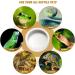 Small Ceramic Reptile Food Dish Bowl & Water Dish Set - 2 Pack | Ideal for Lizards, Geckos, Bearded Dragons, Chameleons, Hermit Crabs | Anti-Escape Design for Mealworms, Crickets, Superworms | 2.75in White - Buy Online on GoSupps.com