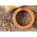 Organic Coriander Seeds 6oz - Non-GMO Whole Spice for Garam Masala & Curry - High Fiber & Minerals - Vegan & Non-Irradiated - Buy Online on GoSupps.com