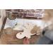 Bo Baby's ONLY Dino Wall Lamp - Battery-Powered Night Light for Baby's Room - FSC Certified Wooden Lamp - 25 000 Hours of Warm Glow - Buy Online on GoSupps.com