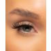 Eye Candy Signature Lash Collection - Posy Black One Size - Buy Online on GoSupps.com
