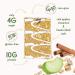 Apple Cinnamon Overnight Oats Bar 11.7 oz - 9 Count (Pack of 1) | Delicious and Nutritious Breakfast Option - Buy Online on GoSupps.com