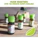 Organic Thyme Essential Oil - 10ml (0.33 fl oz) by Healing Solutions - Buy Online on GoSupps.com