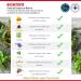 Relax Massage Cream - Natural Lavender Relief for Office Workers & Travelers | 100ml Made in Hungary - Buy Online on GoSupps.com