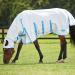 Weatherbeeta Sweet Itch Shield Combo Neck Fly Rug 6ft9 | International Shipping | Premium UV Protection for Horses - Buy Online on GoSupps.com