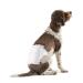 Amazon Basics Dog Diapers for Male Dogs Disposable Diapers Large 30-Pack White