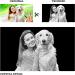 Custom Personalized Pet 3D Crystal Photo | Engraved Cat & Dog Pictures in Glass - Buy Online on GoSupps.com