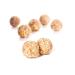 High Protein Gluten Free Bites - Coconut Cashew Crunch, 4oz | Non-GMO Snack - Buy Online on GoSupps.com