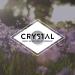 Crystal Deodorant - Vegan Roll-On, Vanilla Jasmine | Unisex, 2.25 fl. oz. (Pack of 3) - Buy Online on GoSupps.com