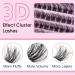 180PCS Wispy 3D Cluster Lashes - Fluffy Volume Faux Mink Eyelash Extensions (8-16mm Mixed - Buy Online on GoSupps.com