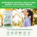 Active Green Pro - Greens Powder 14 Superfoods - Perfect for Smoothies - Antioxidants Fiber Vitamins & Minerals - Detox Your Body and Improve Health and Mood Unflavoured Unflavored - Buy Online on GoSupps.com