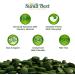 Chlorella Spirulina Cracked Cell Wall  100% Pure & Clean  Raw Non-GMO Green Superfood  Protien Packed  by Sunlit  Best Green Organics (500 Tablets) 1 Count (Pack of 1) - Buy Online on GoSupps.com