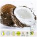 Buy Kulau Organic Coconut Water 330ml - 100% Pure No Sugar or Additives | Pack of 12 - International Shipping Available - Buy Online on GoSupps.com