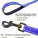 Demigreat Reflective Dog Training Leash - 3m/5m/10m/15m/20m Robust Line with Padded Handle for All Dog Sizes - Buy Online on GoSupps.com