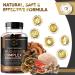 Mushroom Gummies 10 Supplement Blend 2500mg | Turkey Tail Chaga Reishi Cordyceps Lions Mane Extracts | Nootropic Brain Booster for Focus Memory Clarity Energy | 60ct - Buy Online on GoSupps.com