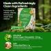 Chlorophyll Powder Packets - Chlorophyll Stick Packs for Water - Detox Boost Gut Health & Antioxidant Support Natural Green Juice Powder - Vegan Gluten-Free Sugar Free Orange Flavor 30 Packs 30 Count (Pack of 1) - Buy Online on GoSupps.com