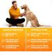 Tierhood Inflatable Break Ruff for Dogs & Cats | Protective Dog Collar for Neck & Sore Crates - Shop Internationally! - Buy Online on GoSupps.com