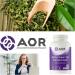 AOR - Active Green Tea 180 Capsules - Helps to Reduce Oxidative Damage - Green Tea Catechins Help Protect Plasma and Lipoproteins from Oxidative Damage by Increasing Blood Antioxidant Capacity - Buy Online on GoSupps.com