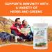 Active Green Pro - Immune & Antioxidants Powder Blend of Herbs Ginseng Echinacea and Maitake Mushroom Plant-Based Formula No Fillers No Sugar Added - 40 Servings - Buy Online on GoSupps.com