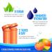 Zipfizz Peach Mango Energy Mix - 20 Vitamin B12 Tubes for Healthy Sports Boost - Buy Online on GoSupps.com