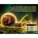  Elite X Advanced Snail 92 - Snail Slime Cream with Hyaluronic Acid - Anti-Acne and Anti-Wrinkle Face Cream - For All Skin Types - Chinese Facial Treatment - Buy Online on GoSupps.com
