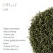 Organic Dill Herb - Premium Quality Gourmet Garnish for Exquisite Dishes | 100g - Buy Online on GoSupps.com