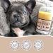 Natural Dog Company Skin Soother Stick 2 oz | Healing Balm with Almond Oil, Lavender, Cocoa Butter, Vitamin E | Hot Spot & Allergy Treatment - Buy Online on GoSupps.com